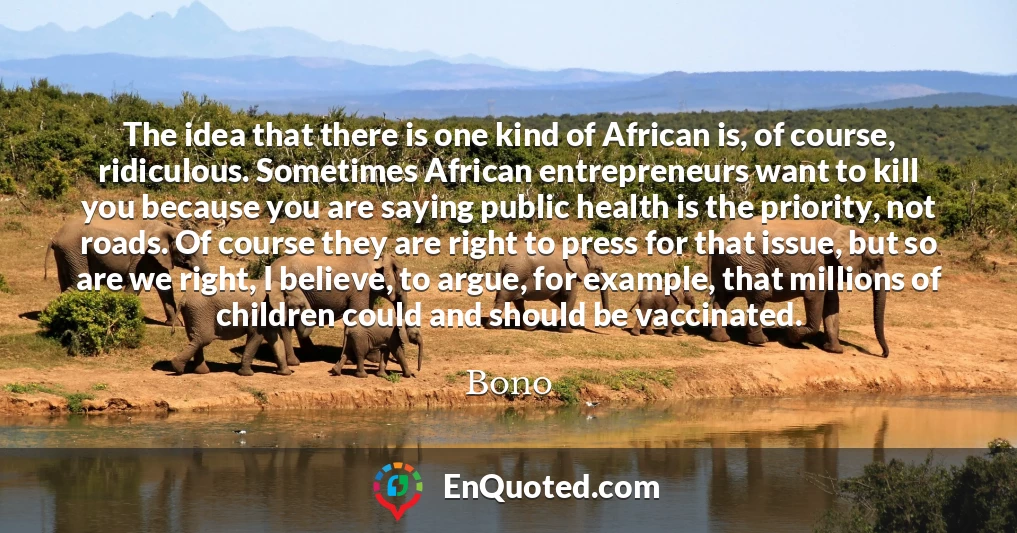 The idea that there is one kind of African is, of course, ridiculous. Sometimes African entrepreneurs want to kill you because you are saying public health is the priority, not roads. Of course they are right to press for that issue, but so are we right, I believe, to argue, for example, that millions of children could and should be vaccinated.