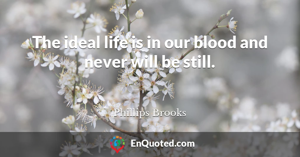 The ideal life is in our blood and never will be still.
