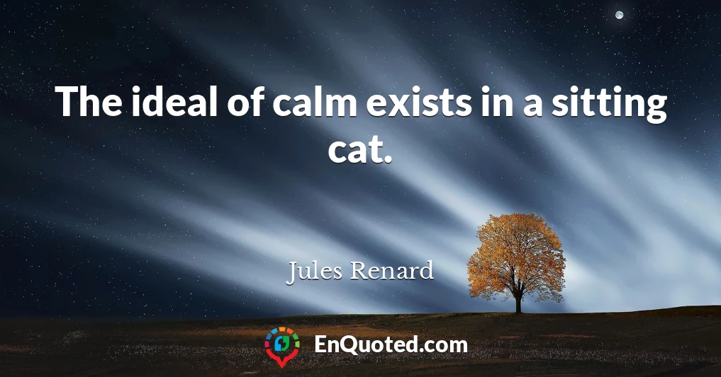 The ideal of calm exists in a sitting cat.