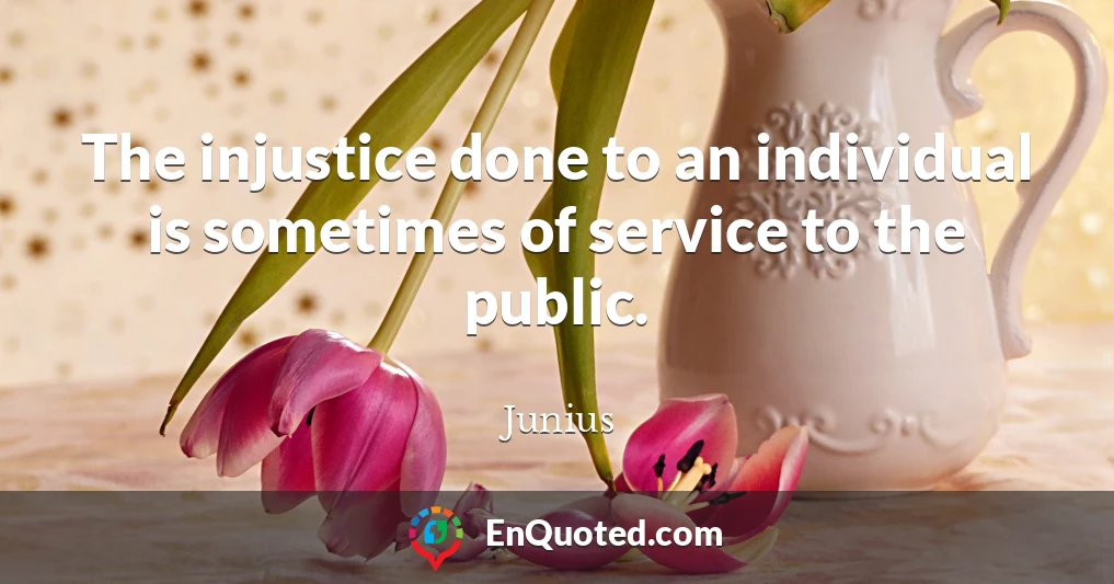 The injustice done to an individual is sometimes of service to the public.