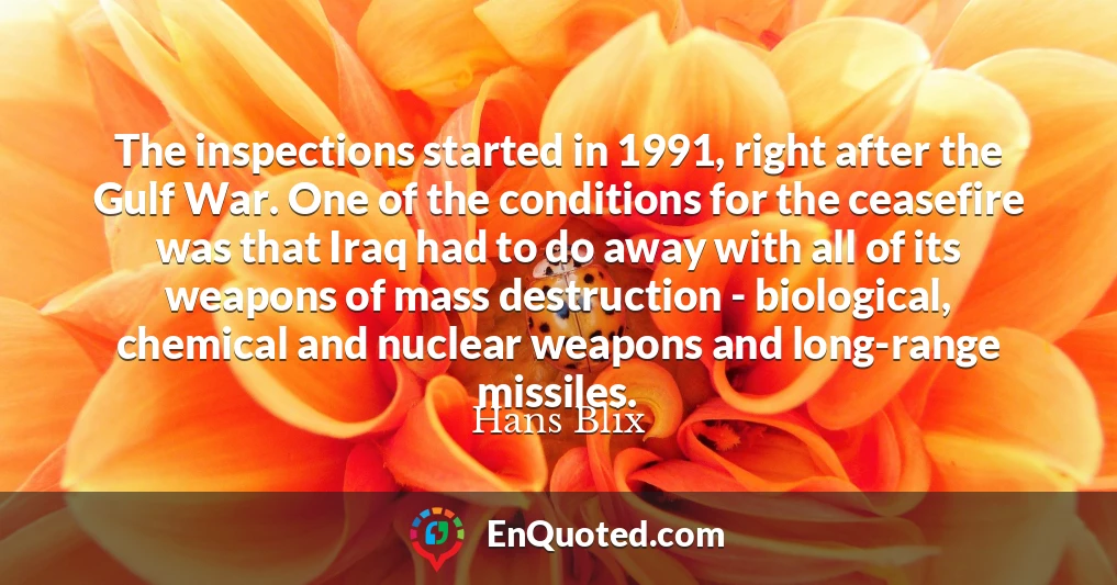 The inspections started in 1991, right after the Gulf War. One of the conditions for the ceasefire was that Iraq had to do away with all of its weapons of mass destruction - biological, chemical and nuclear weapons and long-range missiles.