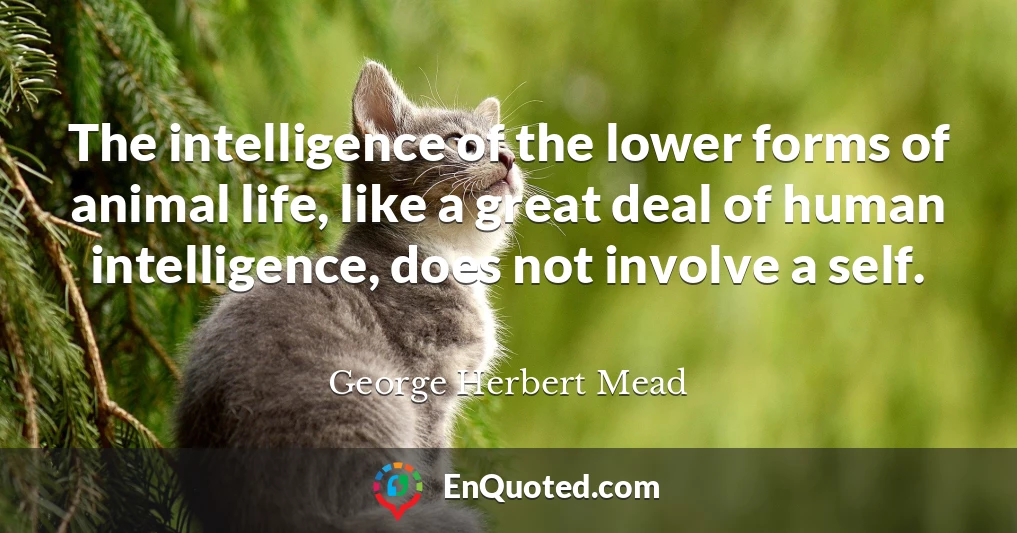 The intelligence of the lower forms of animal life, like a great deal of human intelligence, does not involve a self.