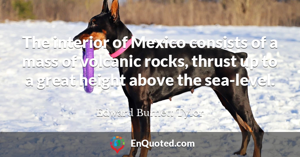 The interior of Mexico consists of a mass of volcanic rocks, thrust up to a great height above the sea-level.