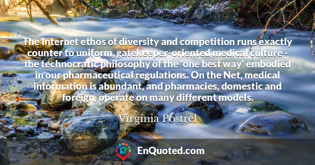 The Internet ethos of diversity and competition runs exactly counter to uniform, gatekeeper-oriented medical culture - the technocratic philosophy of the 'one best way' embodied in our pharmaceutical regulations. On the Net, medical information is abundant, and pharmacies, domestic and foreign, operate on many different models.