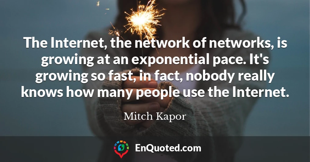 The Internet, the network of networks, is growing at an exponential pace. It's growing so fast, in fact, nobody really knows how many people use the Internet.