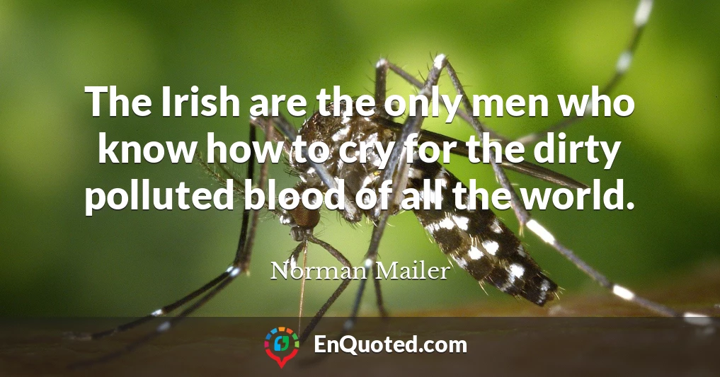 The Irish are the only men who know how to cry for the dirty polluted blood of all the world.