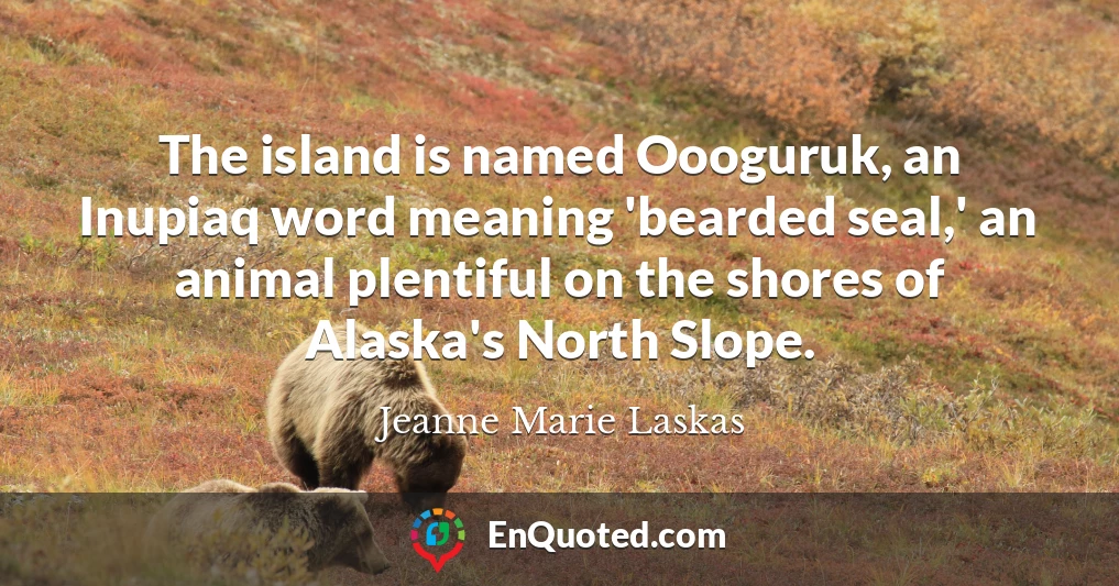 The island is named Oooguruk, an Inupiaq word meaning 'bearded seal,' an animal plentiful on the shores of Alaska's North Slope.