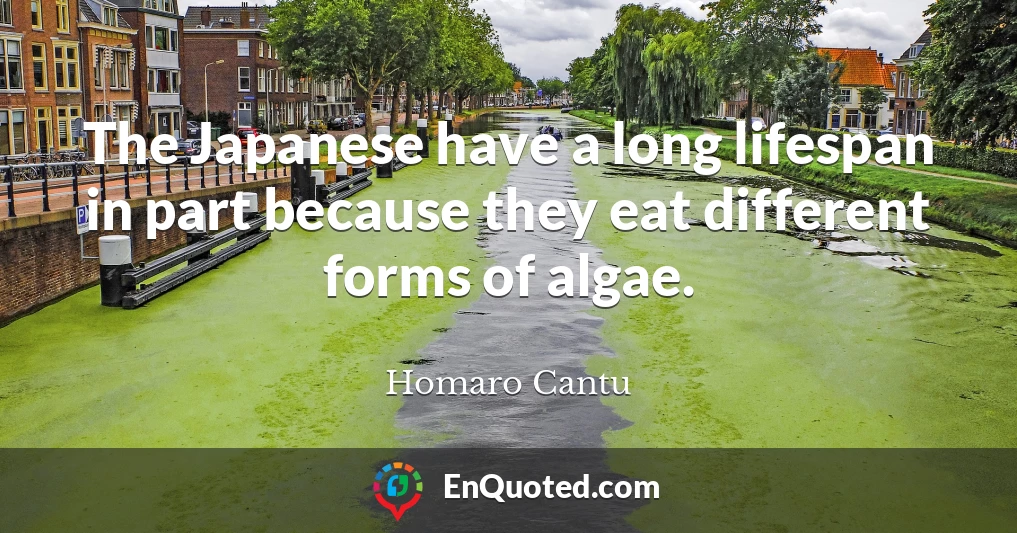 The Japanese have a long lifespan in part because they eat different forms of algae.
