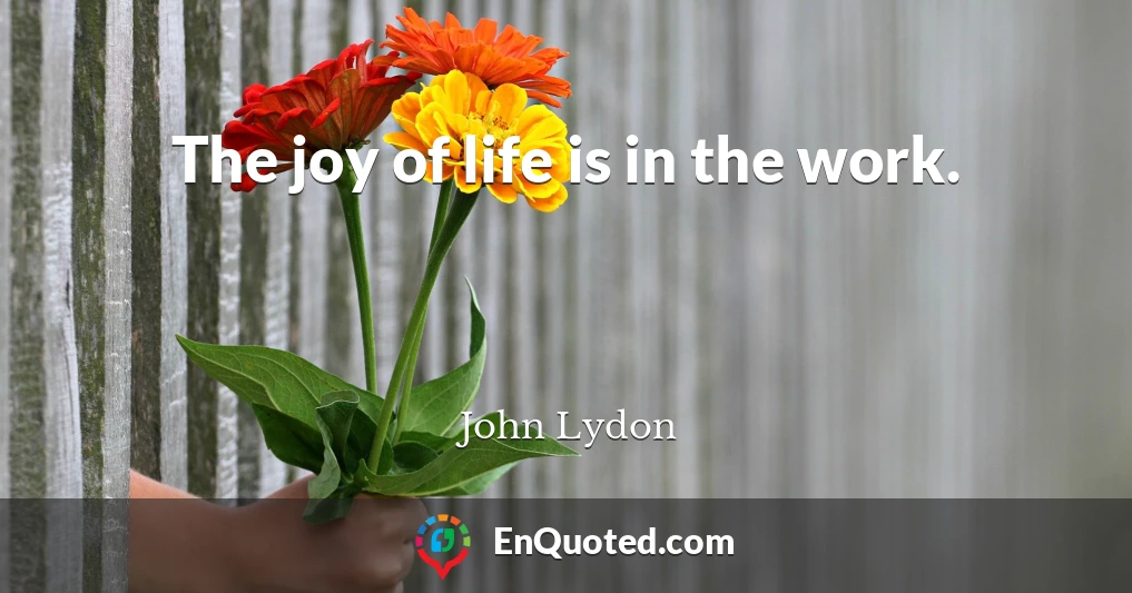 The joy of life is in the work.