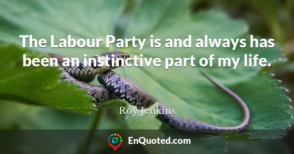 The Labour Party is and always has been an instinctive part of my life.