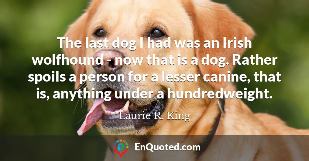 The last dog I had was an Irish wolfhound - now that is a dog. Rather spoils a person for a lesser canine, that is, anything under a hundredweight.