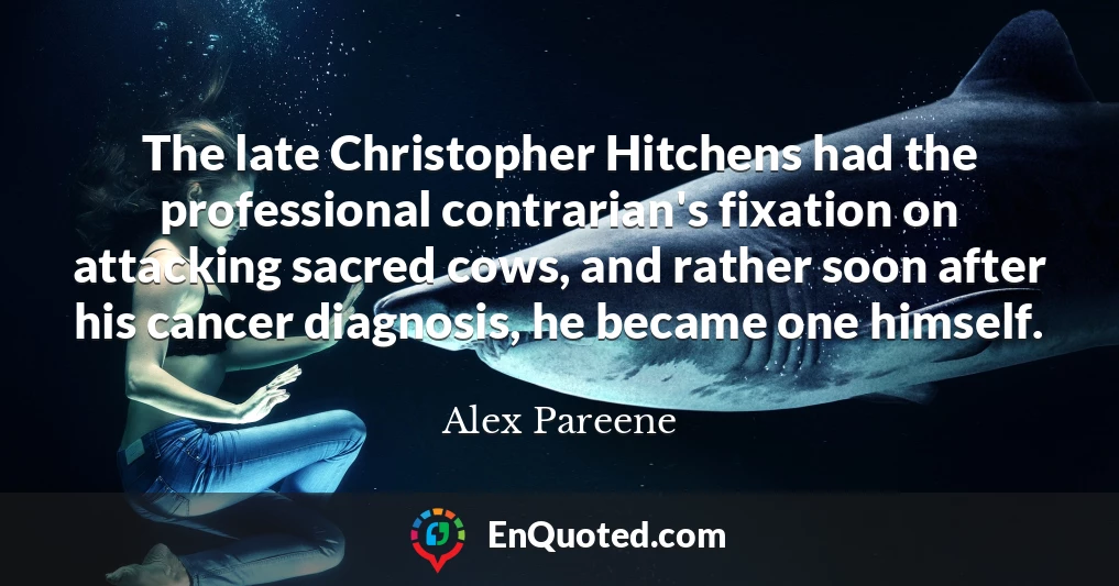 The late Christopher Hitchens had the professional contrarian's fixation on attacking sacred cows, and rather soon after his cancer diagnosis, he became one himself.