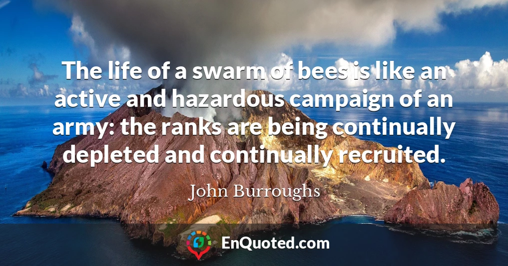 The life of a swarm of bees is like an active and hazardous campaign of an army: the ranks are being continually depleted and continually recruited.