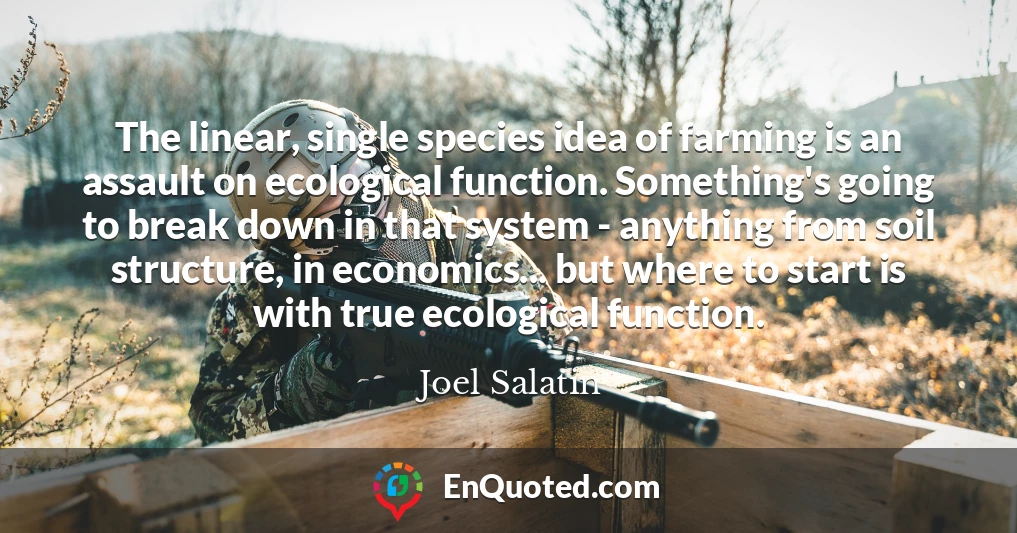 The linear, single species idea of farming is an assault on ecological function. Something's going to break down in that system - anything from soil structure, in economics... but where to start is with true ecological function.