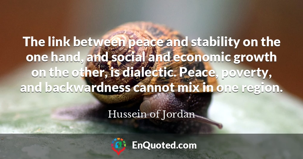 The link between peace and stability on the one hand, and social and economic growth on the other, is dialectic. Peace, poverty, and backwardness cannot mix in one region.