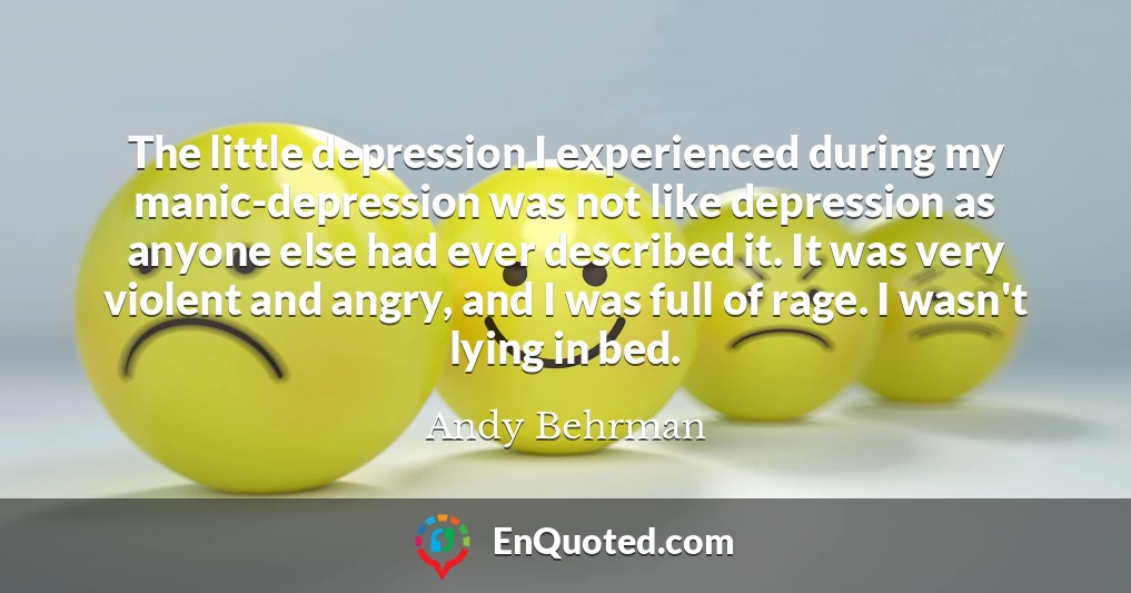 The little depression I experienced during my manic-depression was not like depression as anyone else had ever described it. It was very violent and angry, and I was full of rage. I wasn't lying in bed.