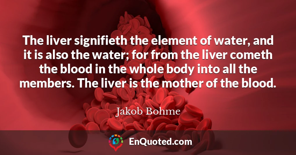The liver signifieth the element of water, and it is also the water; for from the liver cometh the blood in the whole body into all the members. The liver is the mother of the blood.