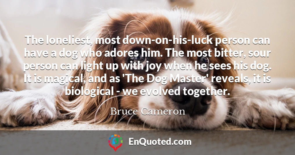 The loneliest, most down-on-his-luck person can have a dog who adores him. The most bitter, sour person can light up with joy when he sees his dog. It is magical, and as 'The Dog Master' reveals, it is biological - we evolved together.