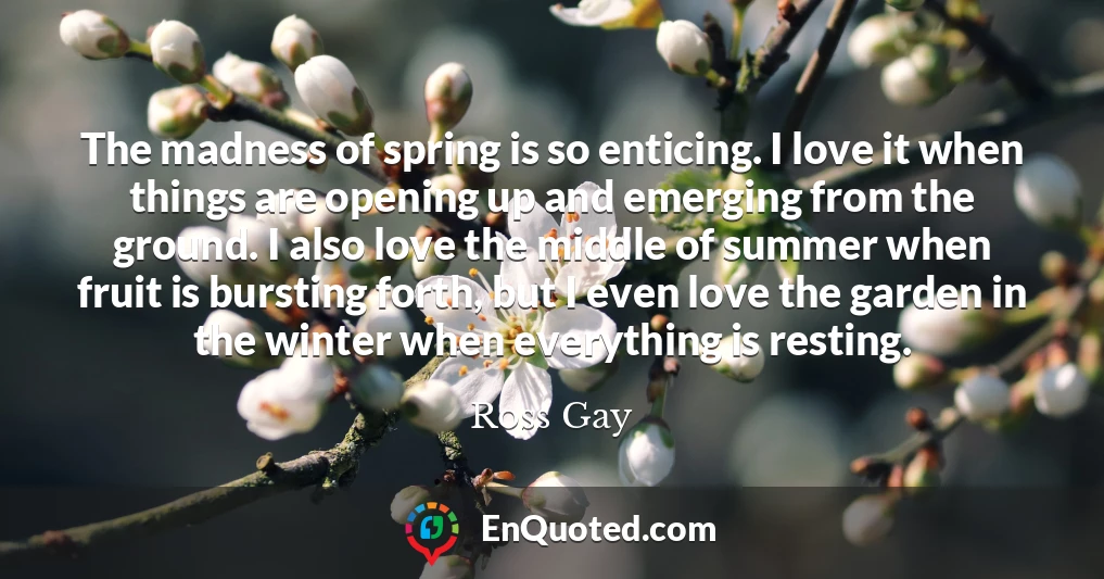 The madness of spring is so enticing. I love it when things are opening up and emerging from the ground. I also love the middle of summer when fruit is bursting forth, but I even love the garden in the winter when everything is resting.