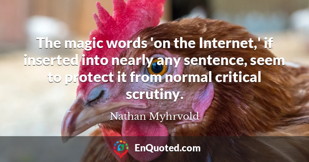 The magic words 'on the Internet,' if inserted into nearly any sentence, seem to protect it from normal critical scrutiny.