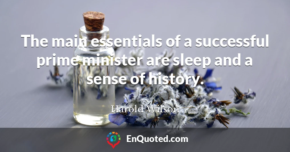 The main essentials of a successful prime minister are sleep and a sense of history.