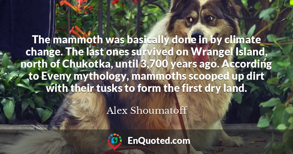 The mammoth was basically done in by climate change. The last ones survived on Wrangel Island, north of Chukotka, until 3,700 years ago. According to Eveny mythology, mammoths scooped up dirt with their tusks to form the first dry land.