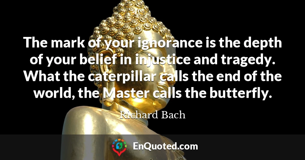 The mark of your ignorance is the depth of your belief in injustice and tragedy. What the caterpillar calls the end of the world, the Master calls the butterfly.