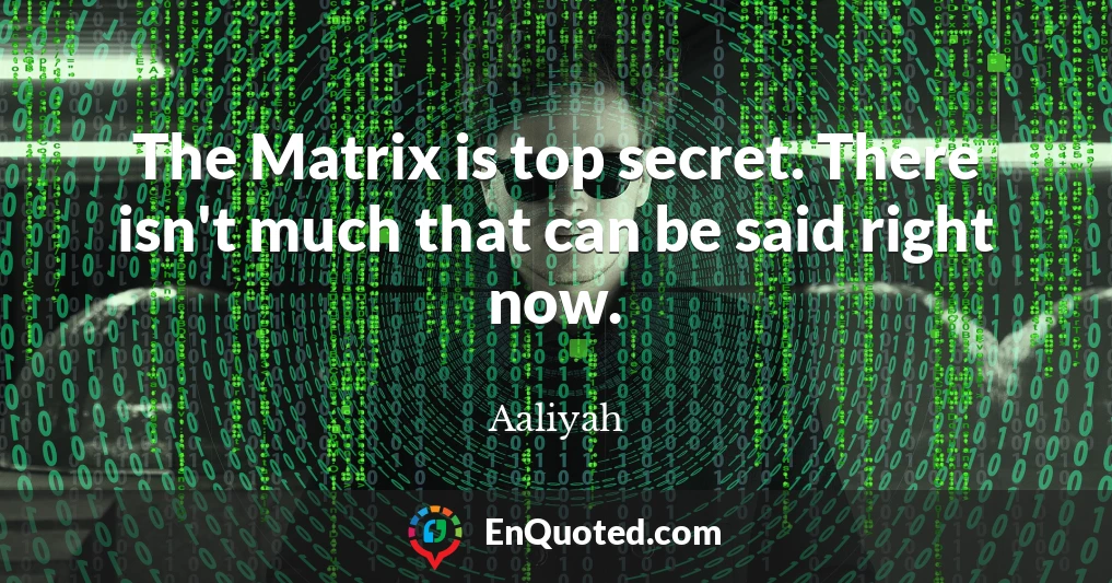 The Matrix is top secret. There isn't much that can be said right now.