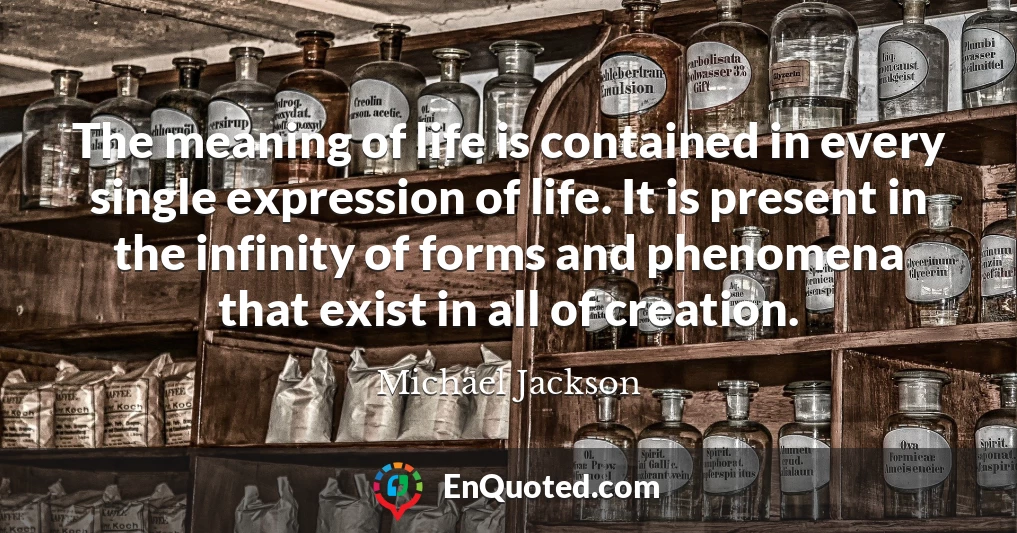 The meaning of life is contained in every single expression of life. It is present in the infinity of forms and phenomena that exist in all of creation.