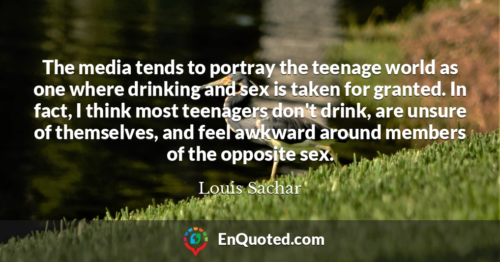 The media tends to portray the teenage world as one where drinking and sex is taken for granted. In fact, I think most teenagers don't drink, are unsure of themselves, and feel awkward around members of the opposite sex.