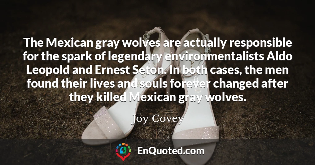 The Mexican gray wolves are actually responsible for the spark of legendary environmentalists Aldo Leopold and Ernest Seton. In both cases, the men found their lives and souls forever changed after they killed Mexican gray wolves.