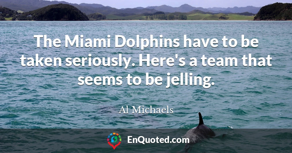 The Miami Dolphins have to be taken seriously. Here's a team that seems to be jelling.