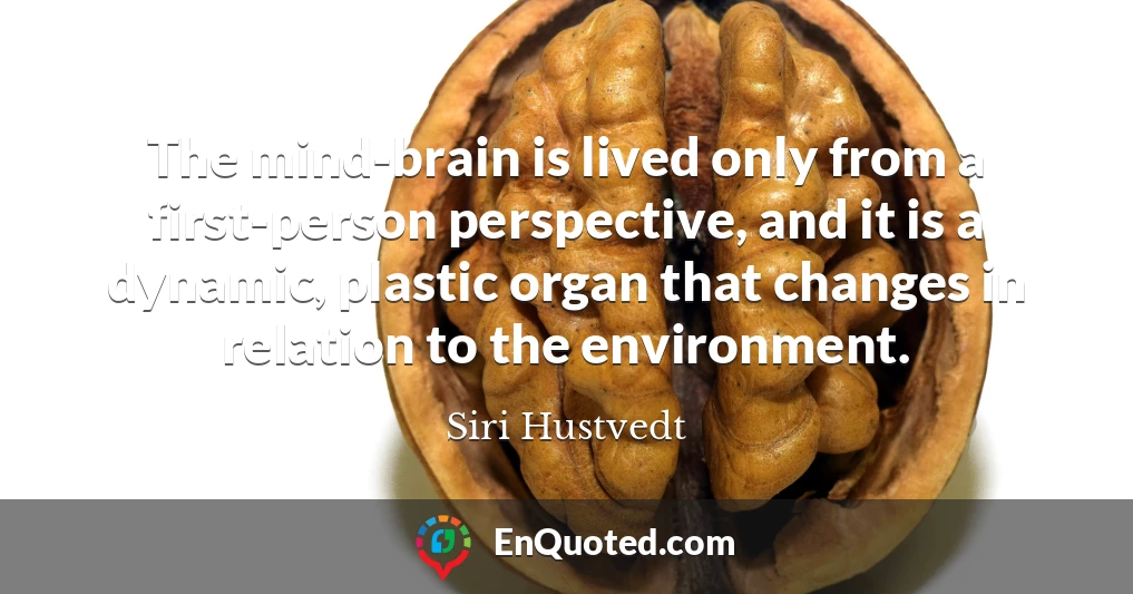 The mind-brain is lived only from a first-person perspective, and it is a dynamic, plastic organ that changes in relation to the environment.