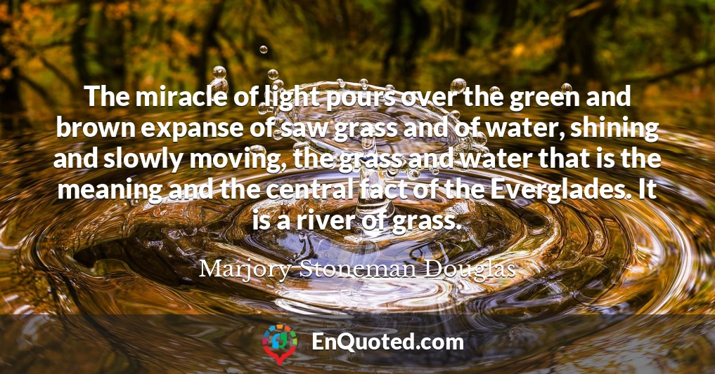 The miracle of light pours over the green and brown expanse of saw grass and of water, shining and slowly moving, the grass and water that is the meaning and the central fact of the Everglades. It is a river of grass.