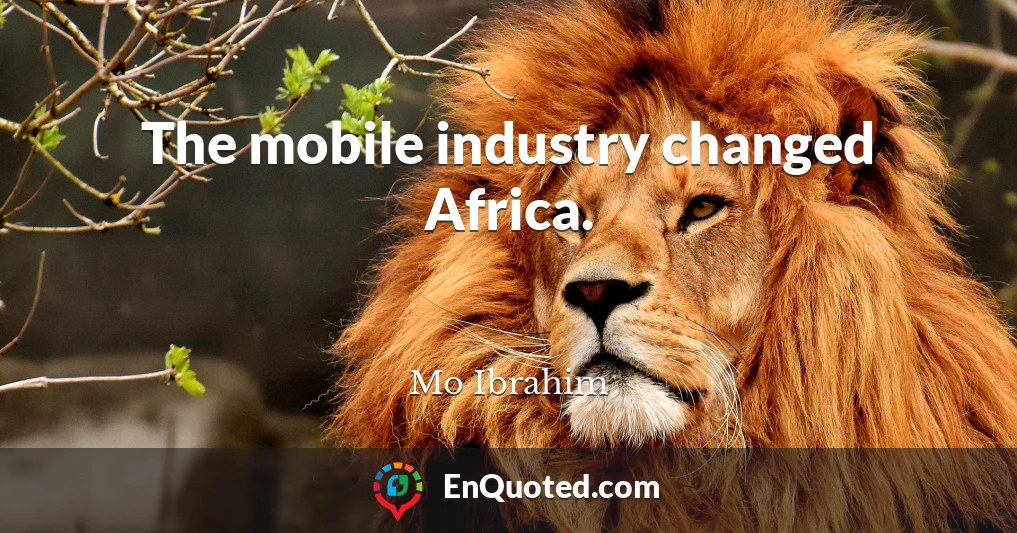The mobile industry changed Africa.