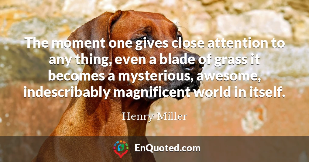 The moment one gives close attention to any thing, even a blade of grass it becomes a mysterious, awesome, indescribably magnificent world in itself.