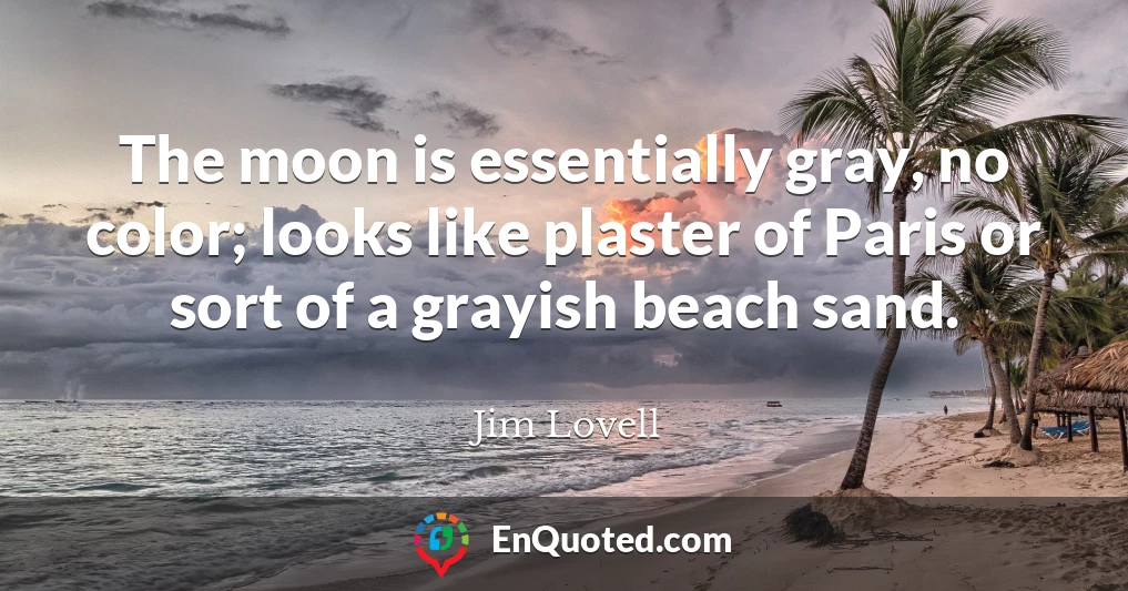 The moon is essentially gray, no color; looks like plaster of Paris or sort of a grayish beach sand.