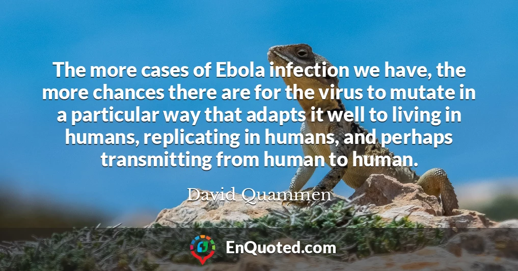 The more cases of Ebola infection we have, the more chances there are for the virus to mutate in a particular way that adapts it well to living in humans, replicating in humans, and perhaps transmitting from human to human.