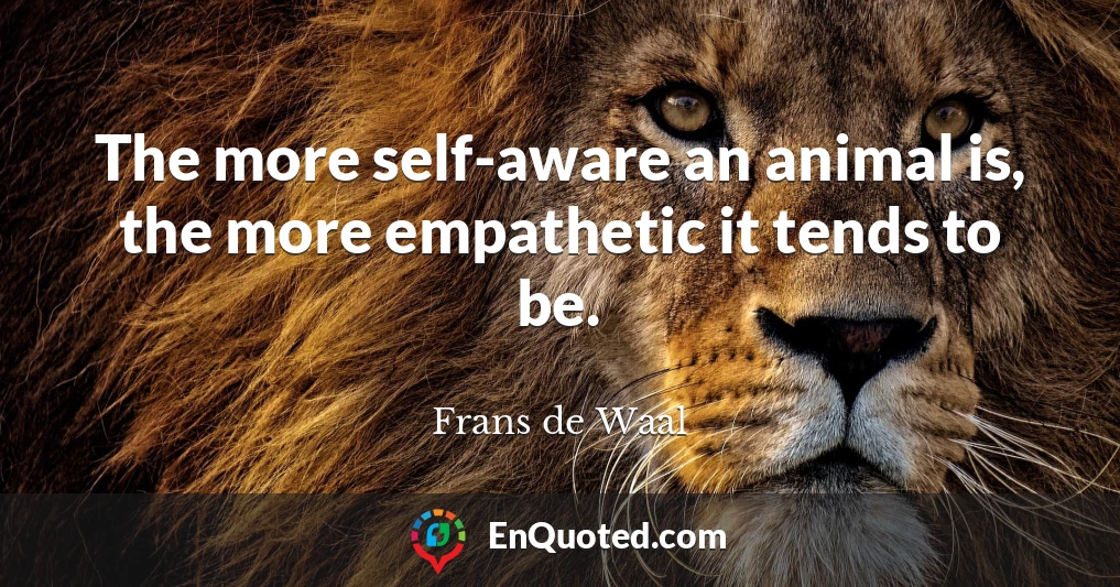 The more self-aware an animal is, the more empathetic it tends to be.