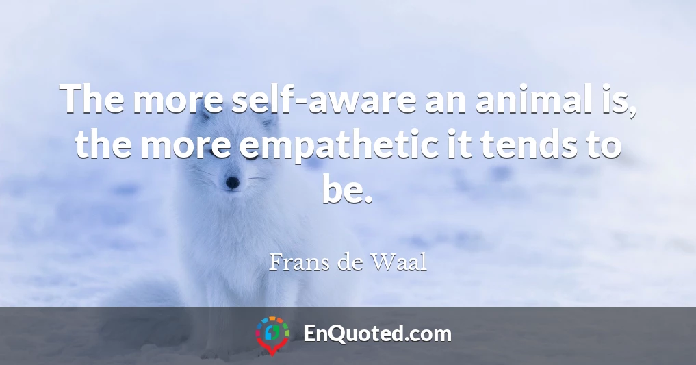 The more self-aware an animal is, the more empathetic it tends to be.