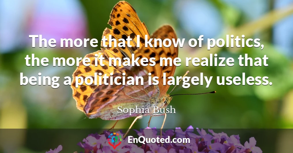 The more that I know of politics, the more it makes me realize that being a politician is largely useless.