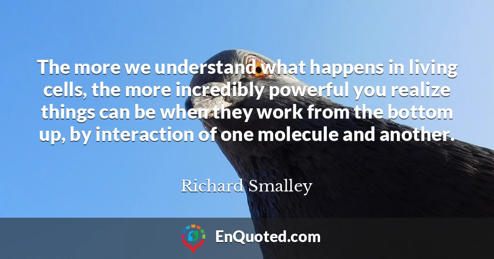 The more we understand what happens in living cells, the more incredibly powerful you realize things can be when they work from the bottom up, by interaction of one molecule and another.