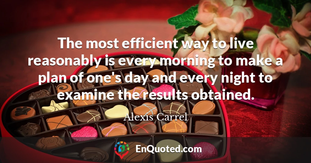 The most efficient way to live reasonably is every morning to make a plan of one's day and every night to examine the results obtained.