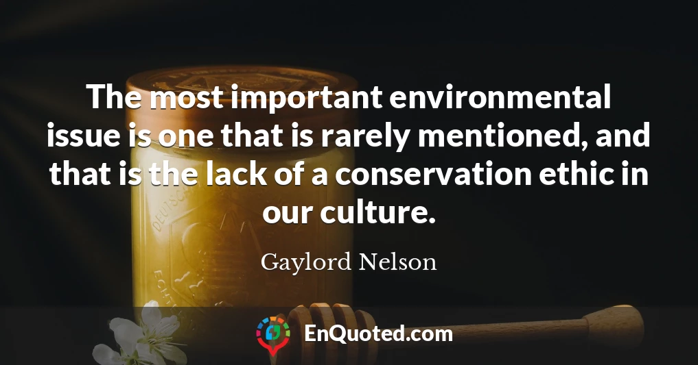The most important environmental issue is one that is rarely mentioned, and that is the lack of a conservation ethic in our culture.