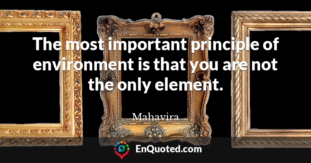 The most important principle of environment is that you are not the only element.
