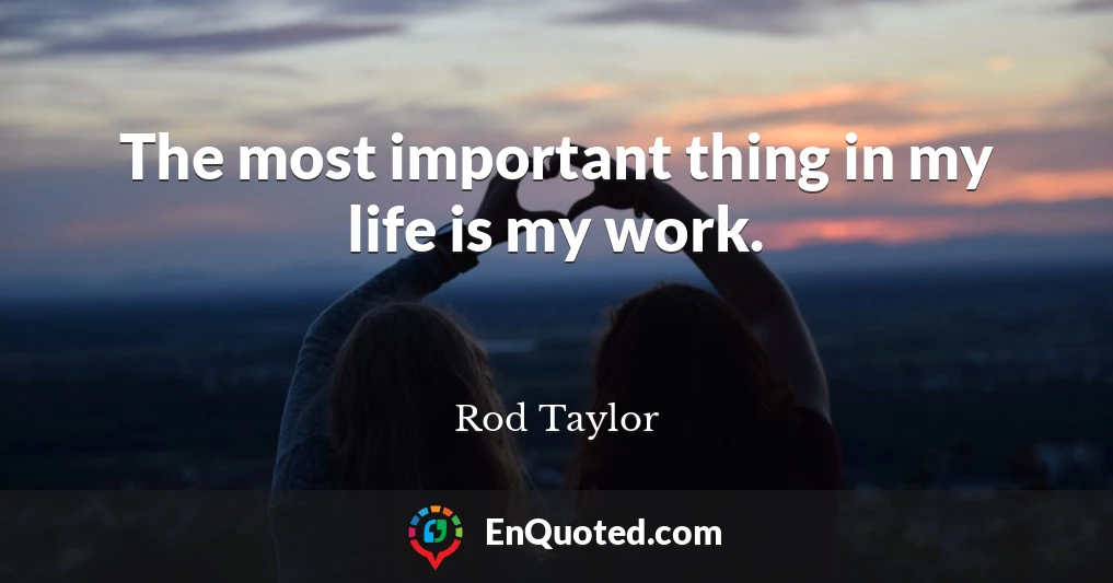 The most important thing in my life is my work.