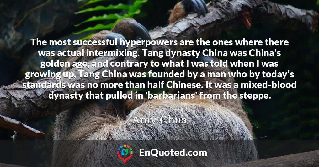 The most successful hyperpowers are the ones where there was actual intermixing. Tang dynasty China was China's golden age, and contrary to what I was told when I was growing up, Tang China was founded by a man who by today's standards was no more than half Chinese. It was a mixed-blood dynasty that pulled in 'barbarians' from the steppe.