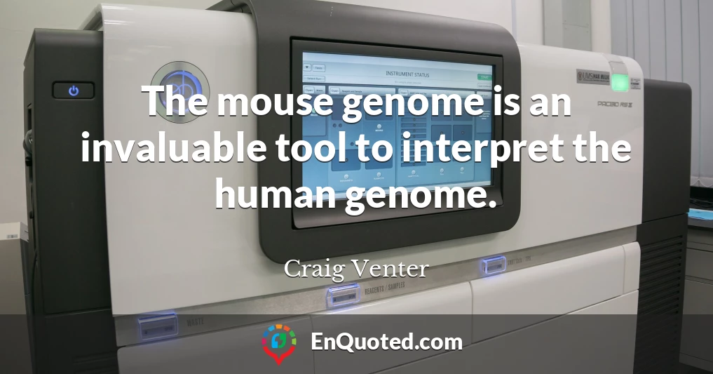 The mouse genome is an invaluable tool to interpret the human genome.