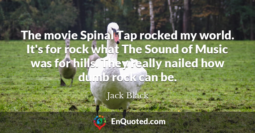 The movie Spinal Tap rocked my world. It's for rock what The Sound of Music was for hills. They really nailed how dumb rock can be.