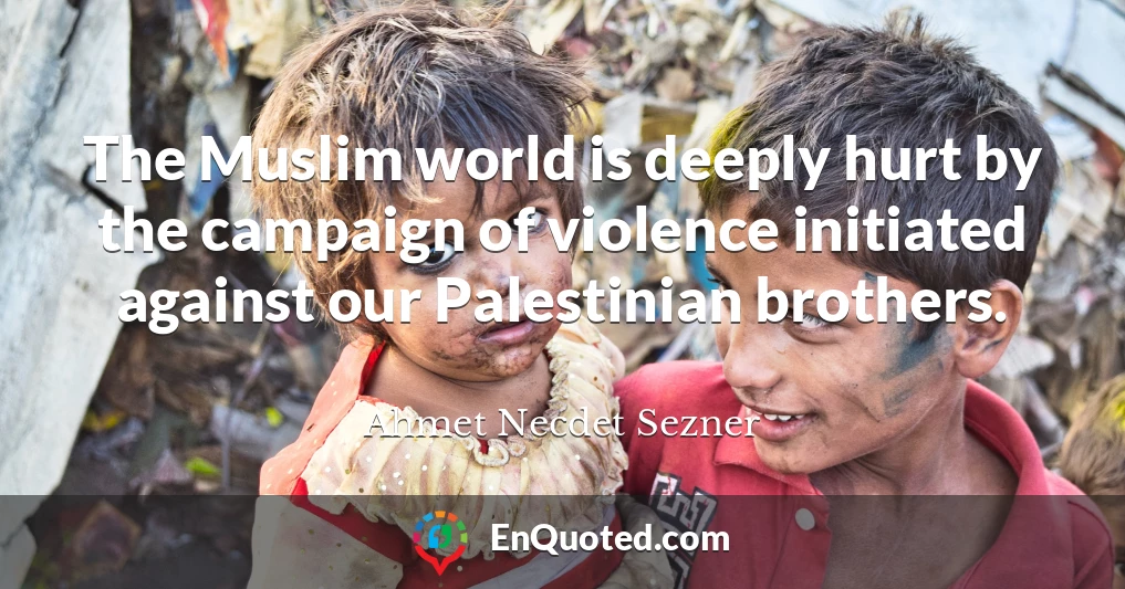 The Muslim world is deeply hurt by the campaign of violence initiated against our Palestinian brothers.